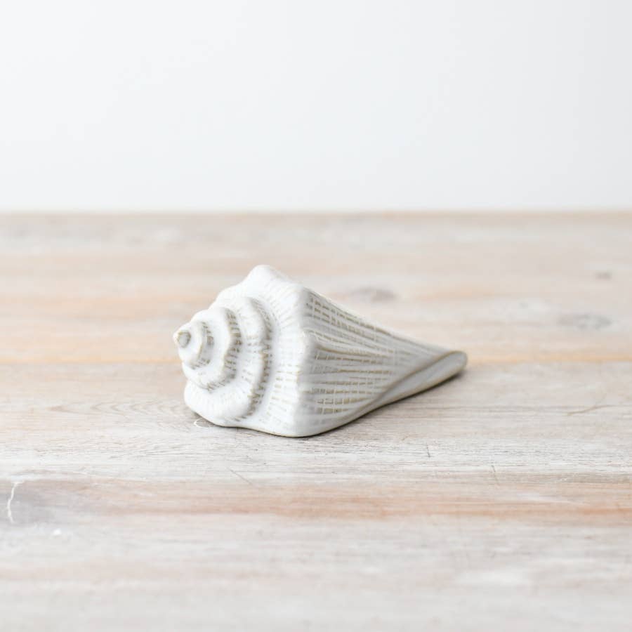 Sea Shell Ornament, 9.5cm - Bridgnorth Furniture