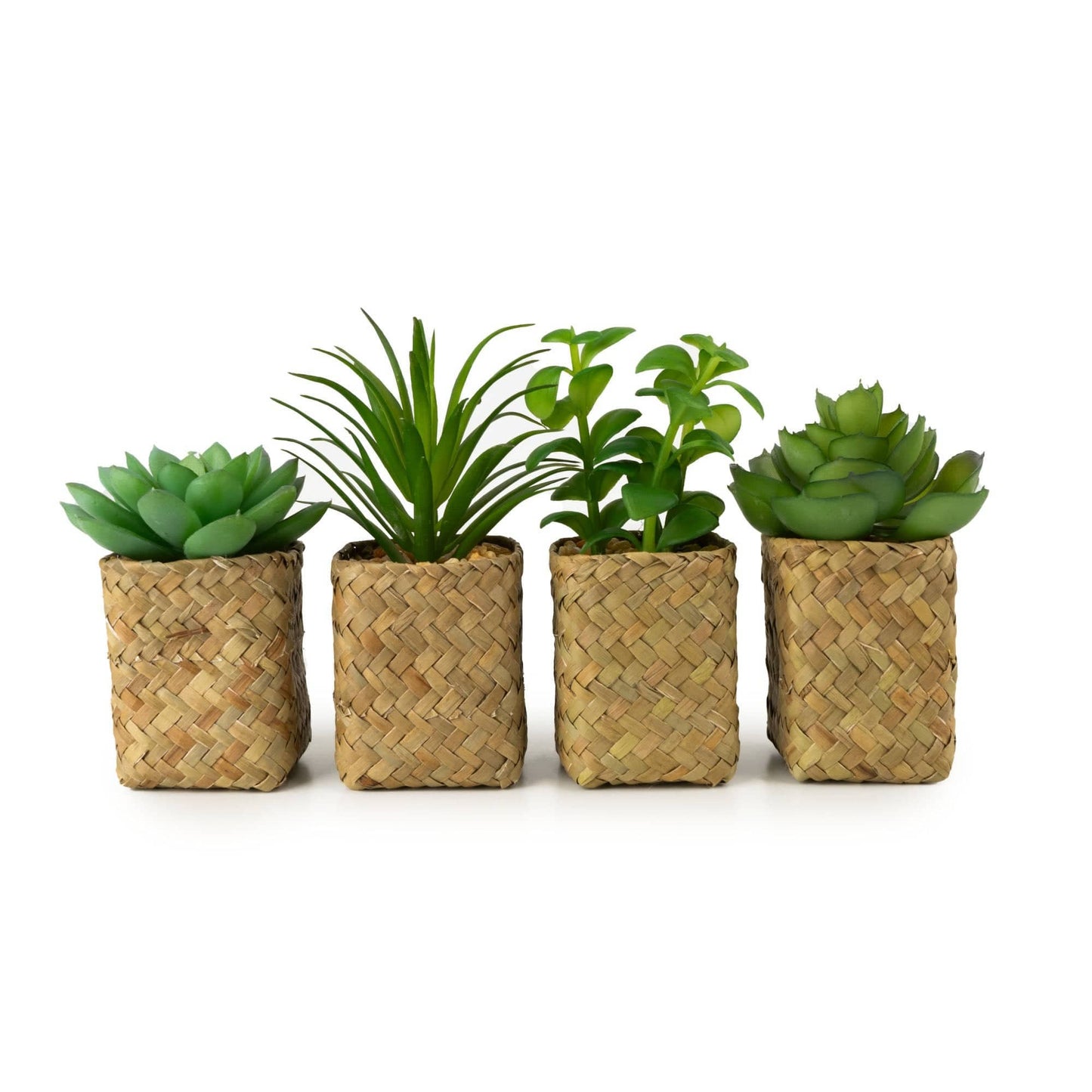 Artificial Assorted Succulents in Baskets - Bridgnorth Furniture