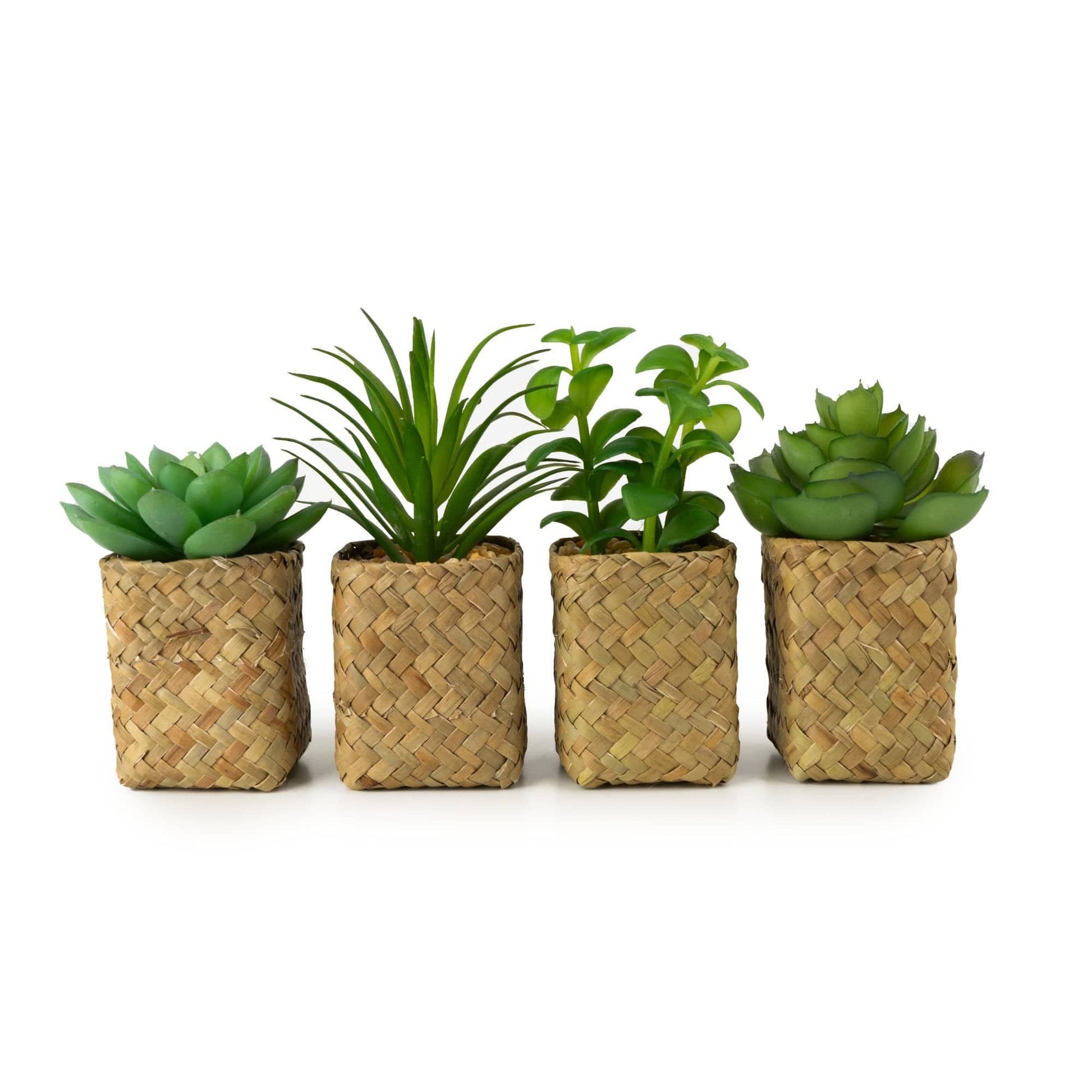 Artificial Assorted Succulents in Baskets - Bridgnorth Furniture