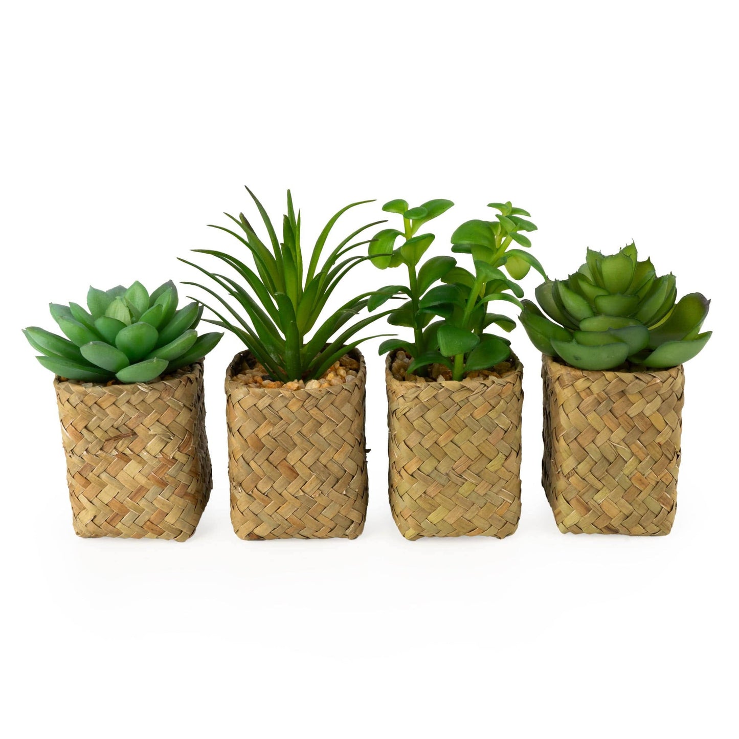 Artificial Assorted Succulents in Baskets - Bridgnorth Furniture