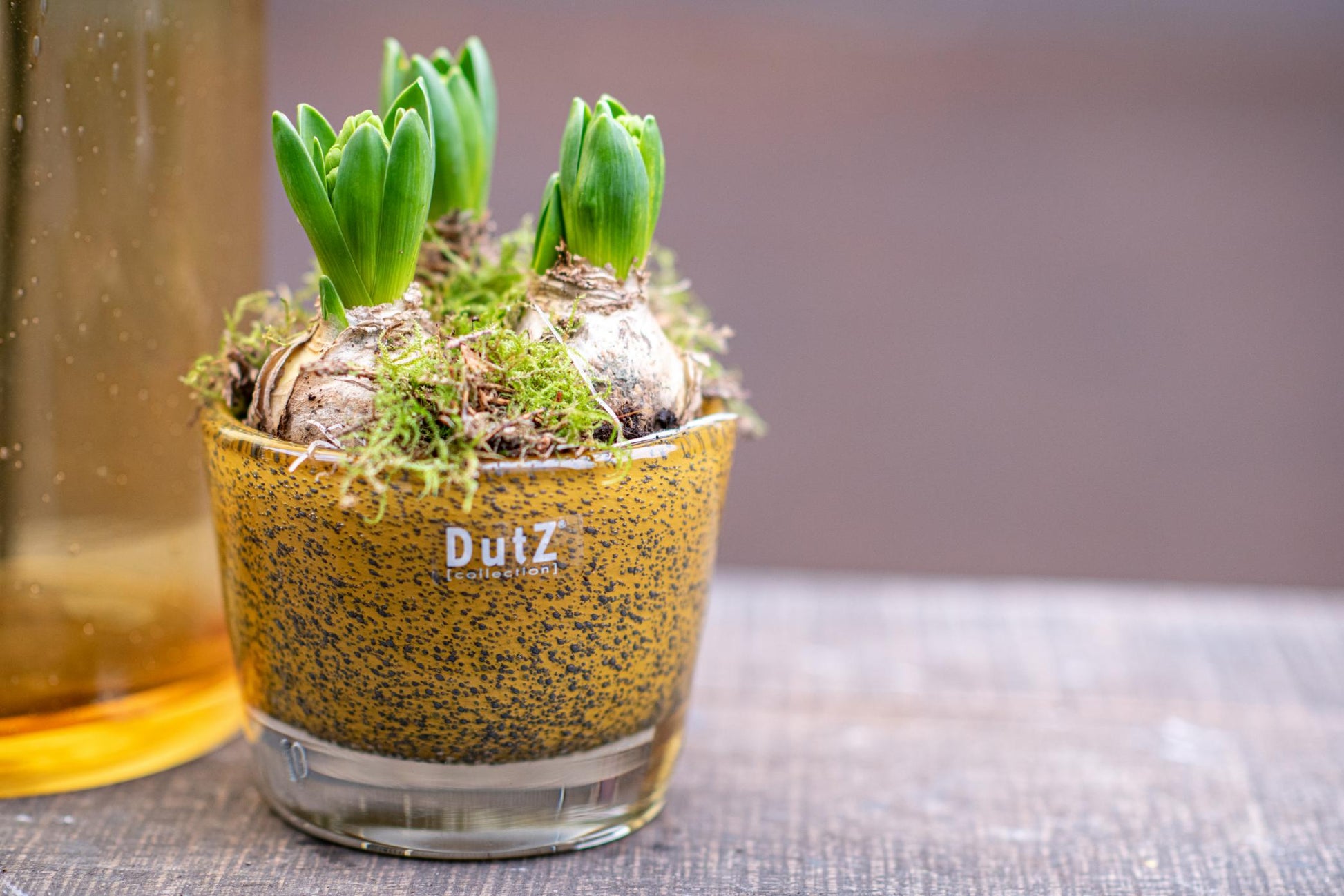 CONIC Vase - Thick with Bubbles by DutZ - Bridgnorth Furniture