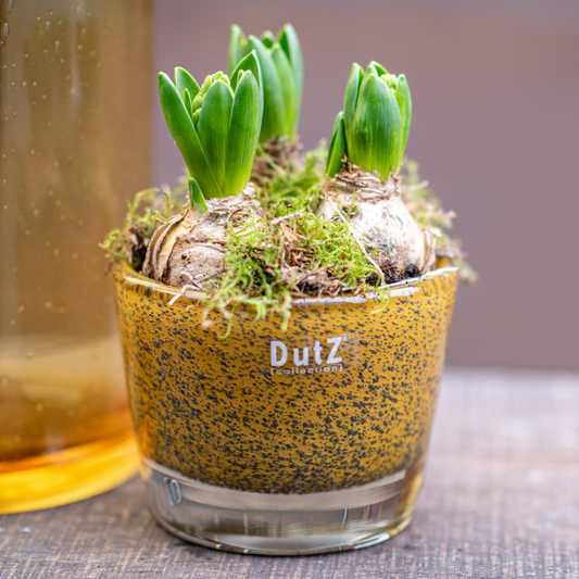 CONIC Vase - Thick with Bubbles by DutZ - Bridgnorth Furniture
