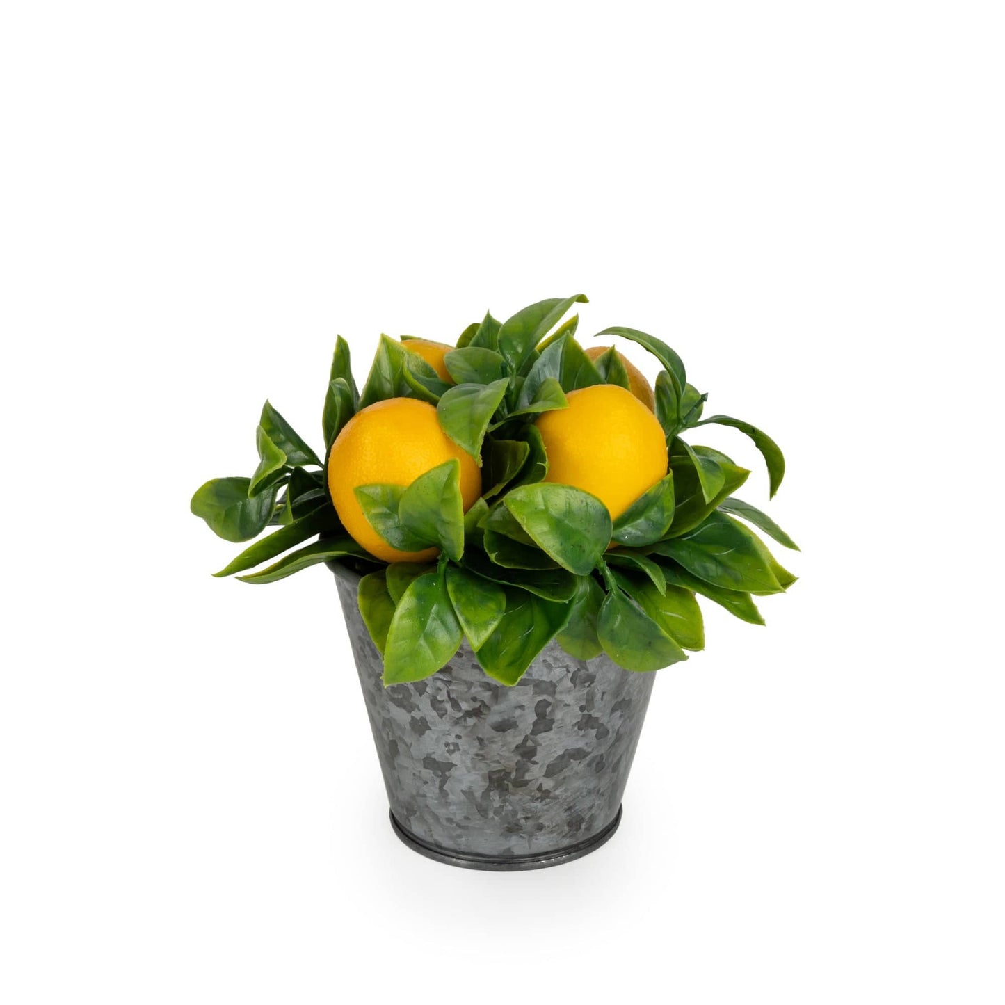 15cm Lemons in Tin