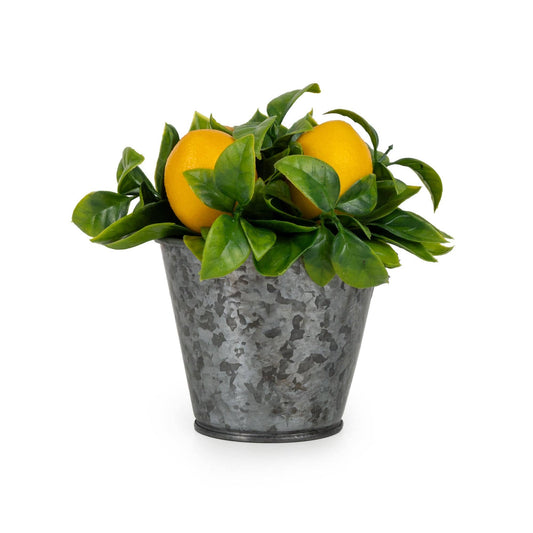 15cm Lemons in Tin