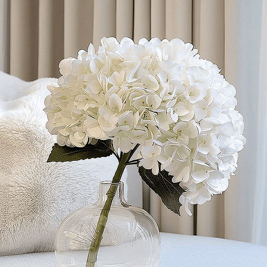 Cream Giant Pom Pom Hydrangea Single Stem Flower - Bridgnorth Furniture