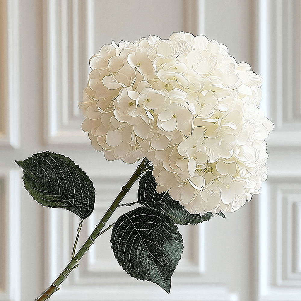 Cream Giant Pom Pom Hydrangea Single Stem Flower - Bridgnorth Furniture