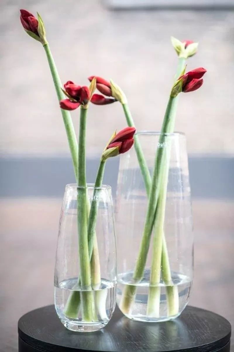 VASE ROBERT - CLEAR glass by DutZ - Bridgnorth Furniture