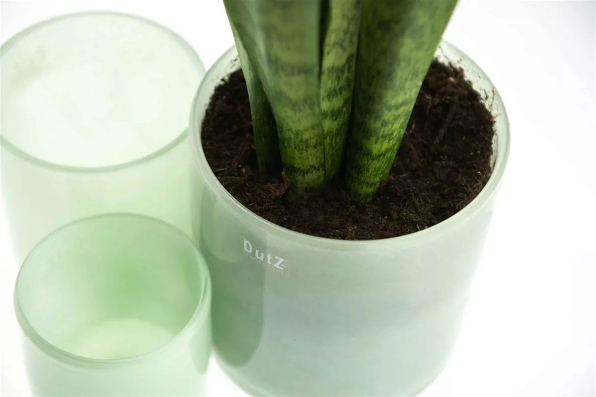 CYLINDER C1 Candle Votive -  MENTHOL - Bridgnorth Furniture