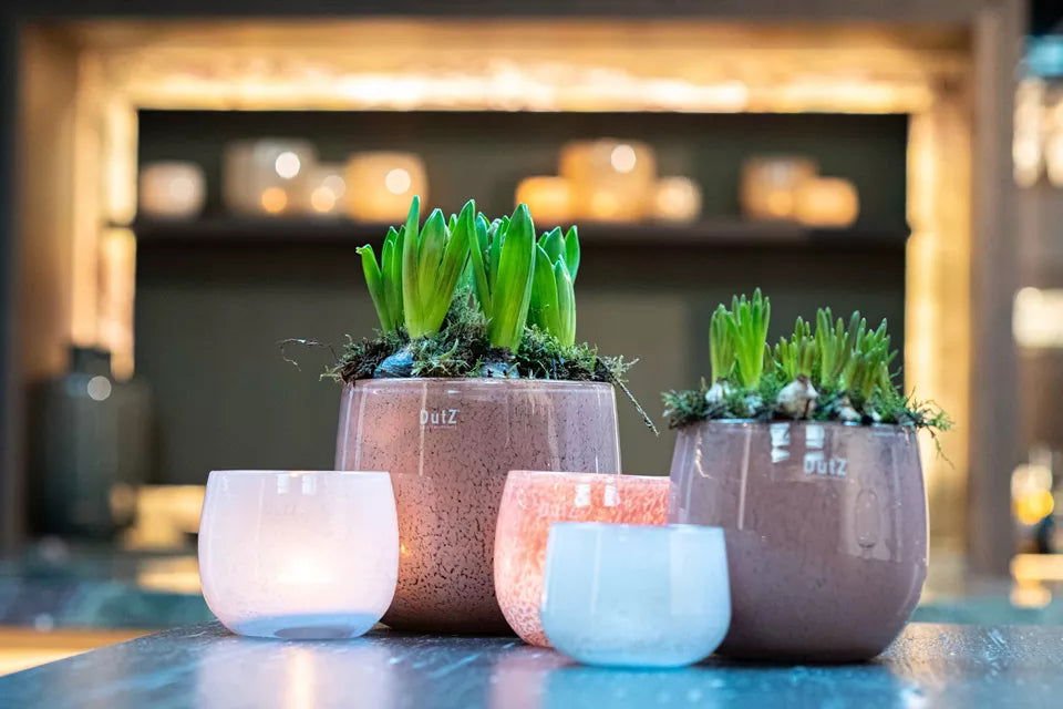 GLASS POT - BEIGE Colour by DutZ - Bridgnorth Furniture