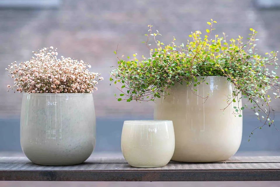 GLASS POT - BEIGE Colour by DutZ - Bridgnorth Furniture