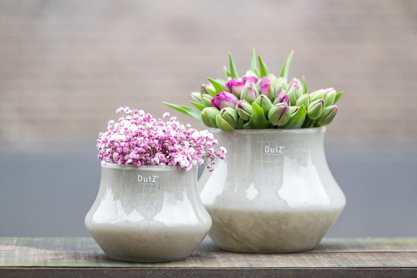 Orchid POT MARCO - TAUPE BROWN - Bridgnorth Furniture