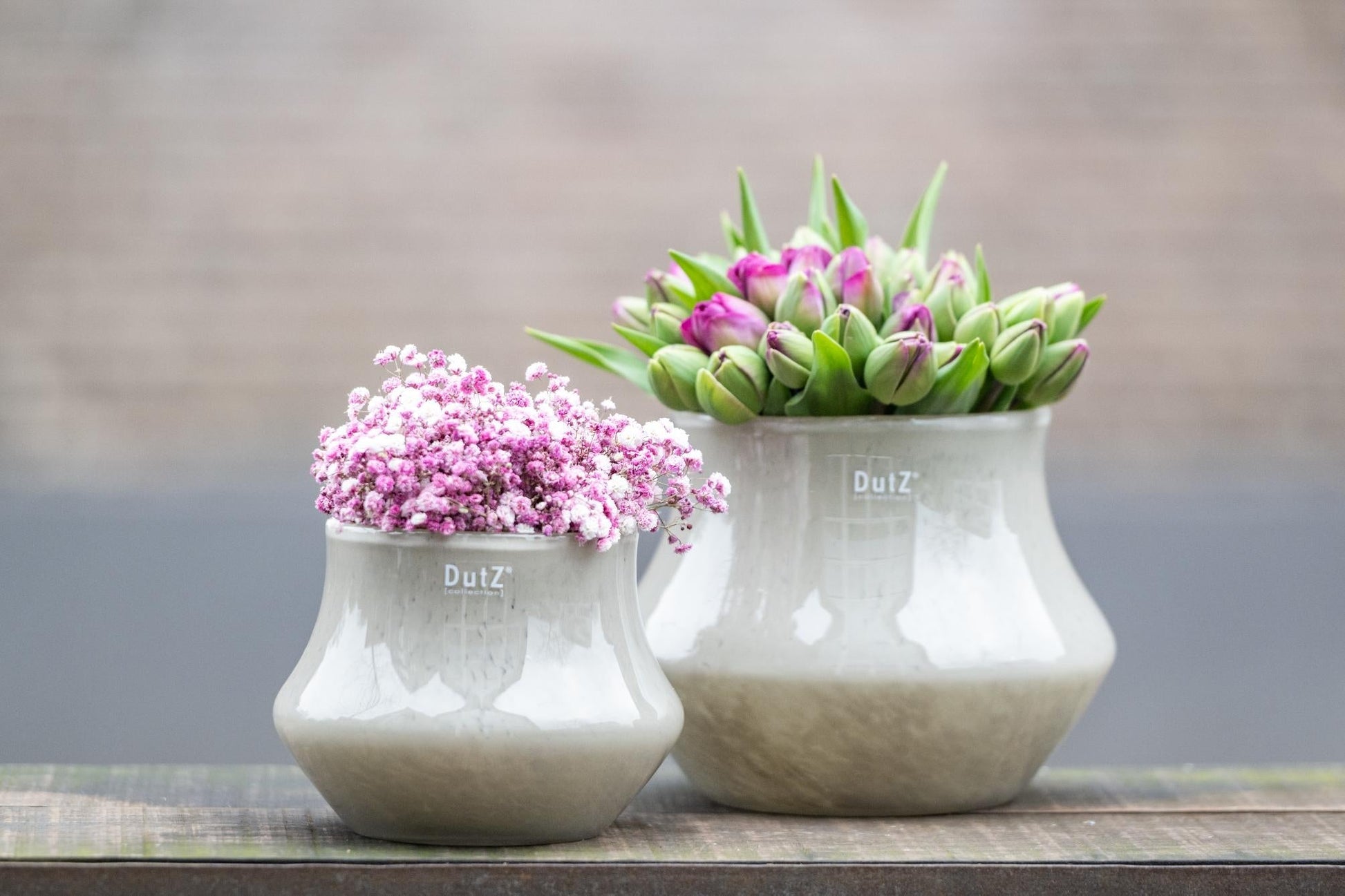 Orchid POT MARCO - TAUPE BROWN - Bridgnorth Furniture