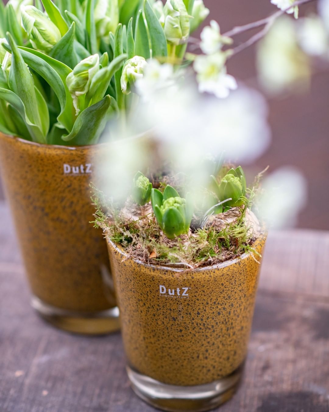 CONIC Vase - Thick with Bubbles by DutZ - Bridgnorth Furniture