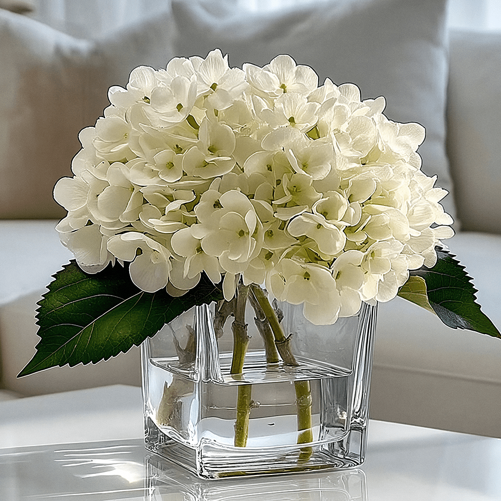 Faux Cream Hydrangeas Floral Arrangement in Square Glass Vase - Bridgnorth Furniture