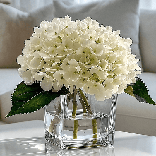 Faux Cream Hydrangeas Floral Arrangement in Square Glass Vase - Bridgnorth Furniture