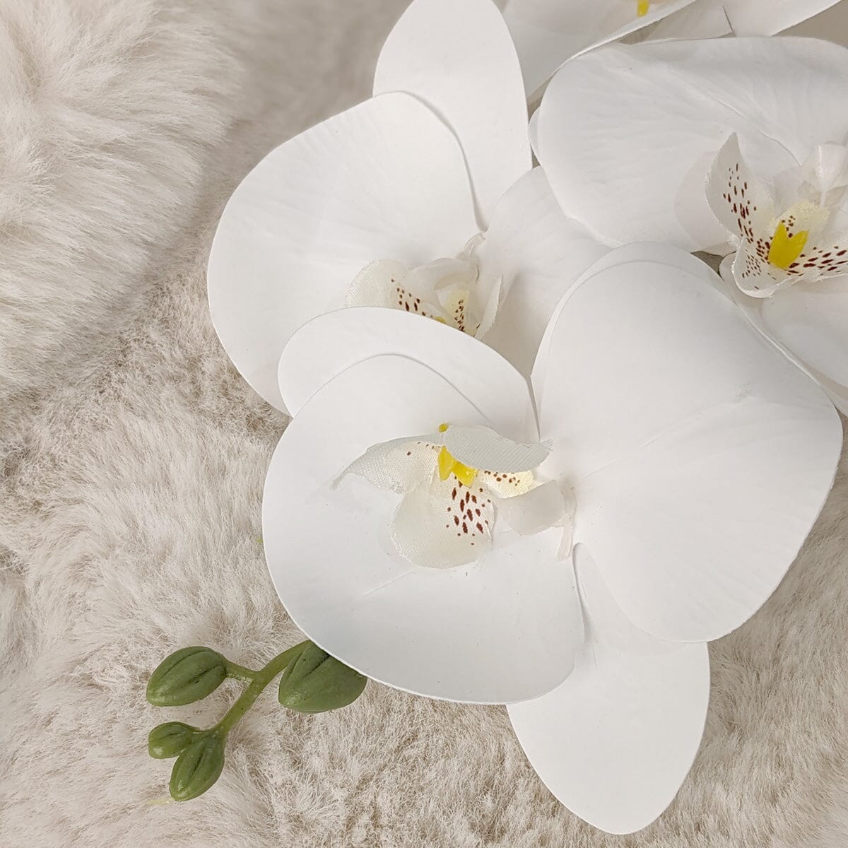 Faux White Orchid Single Stem Floral - Bridgnorth Furniture