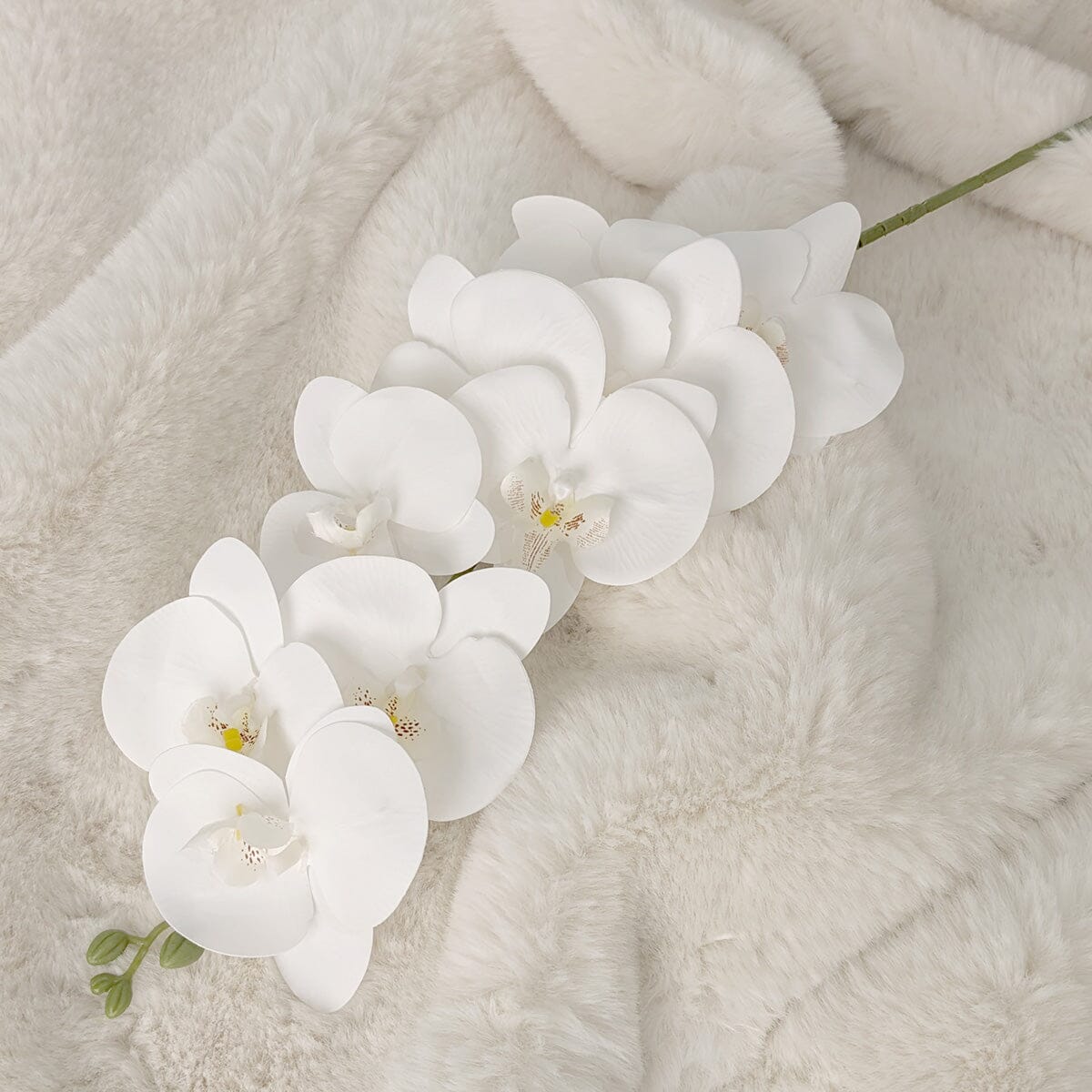 Faux White Orchid Single Stem Floral - Bridgnorth Furniture