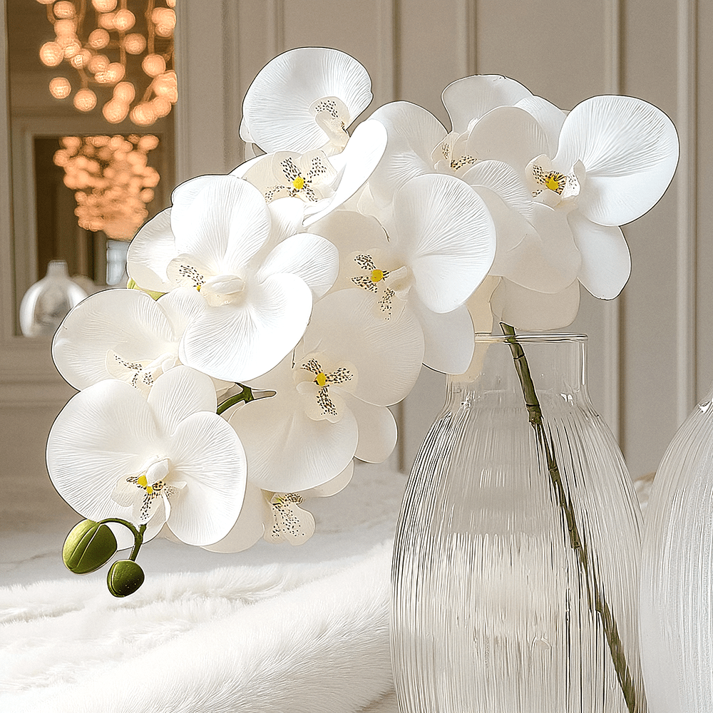 Faux White Orchid Single Stem Floral - Bridgnorth Furniture