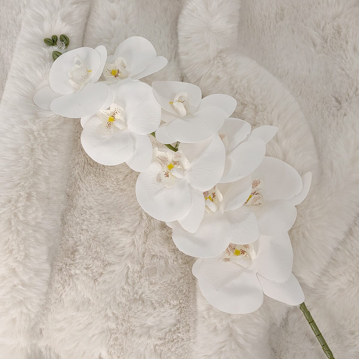 Faux White Orchid Single Stem Floral - Bridgnorth Furniture