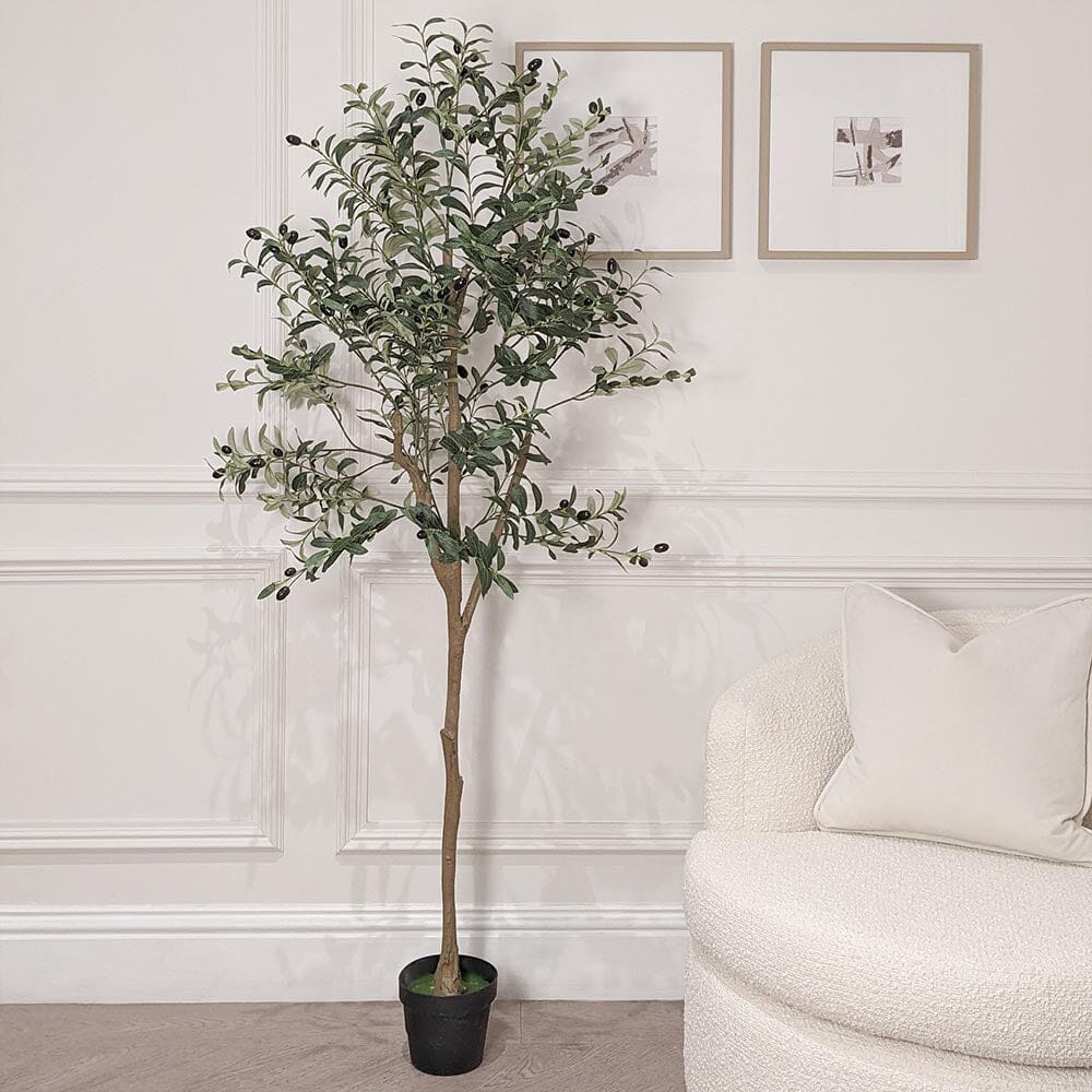 Large Faux Potted Olive Tree - Bridgnorth Furniture