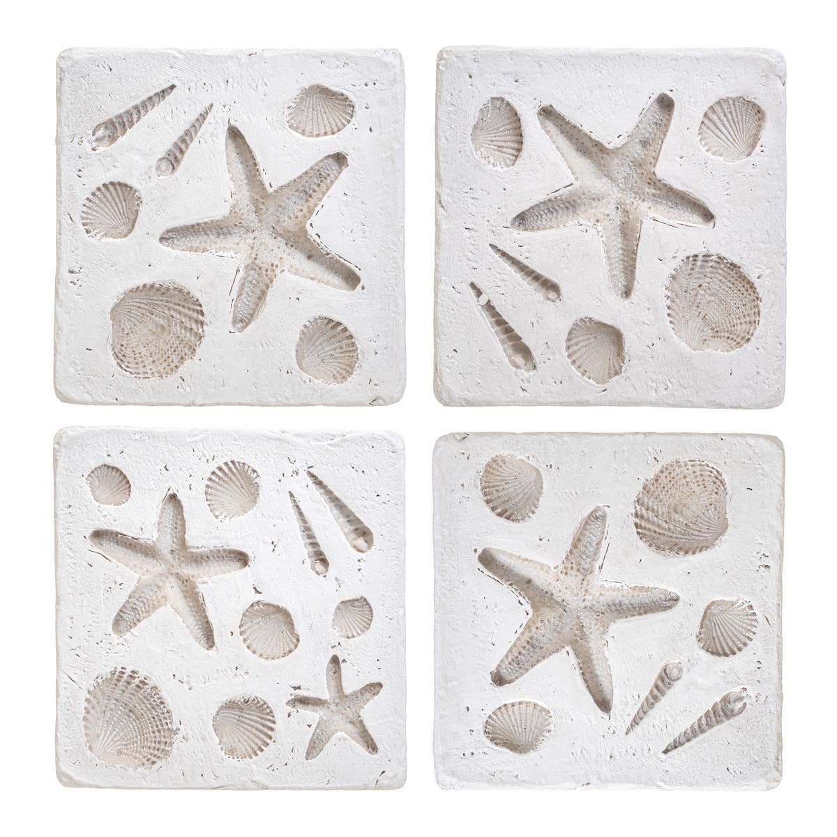Shell Imprint Coasters (Set of 4) - Bridgnorth Furniture