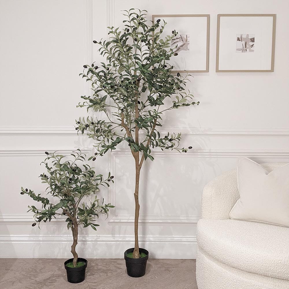 Set of 2 Faux Potted Olive Trees - Bridgnorth Furniture