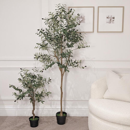 Set of 2 Faux Potted Olive Trees - Bridgnorth Furniture