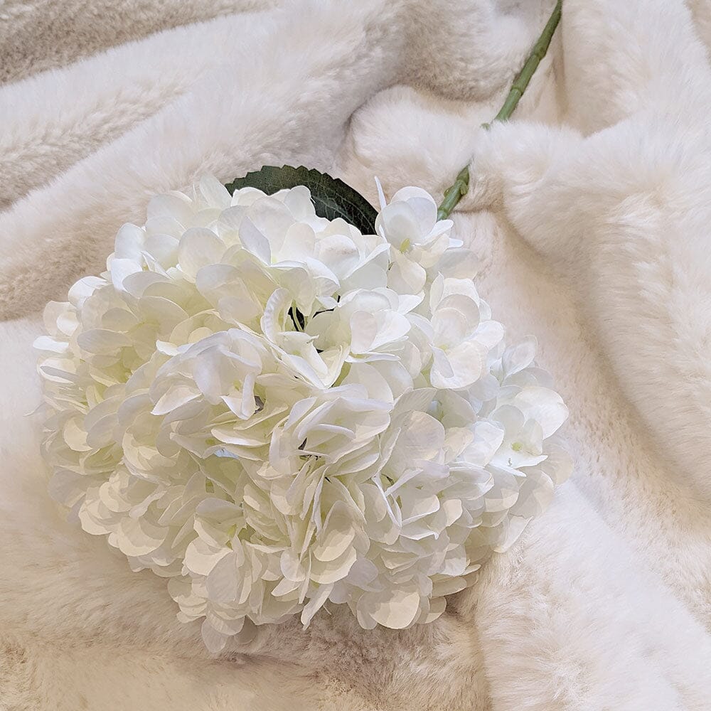 Cream Giant Pom Pom Hydrangea Single Stem Flower - Bridgnorth Furniture